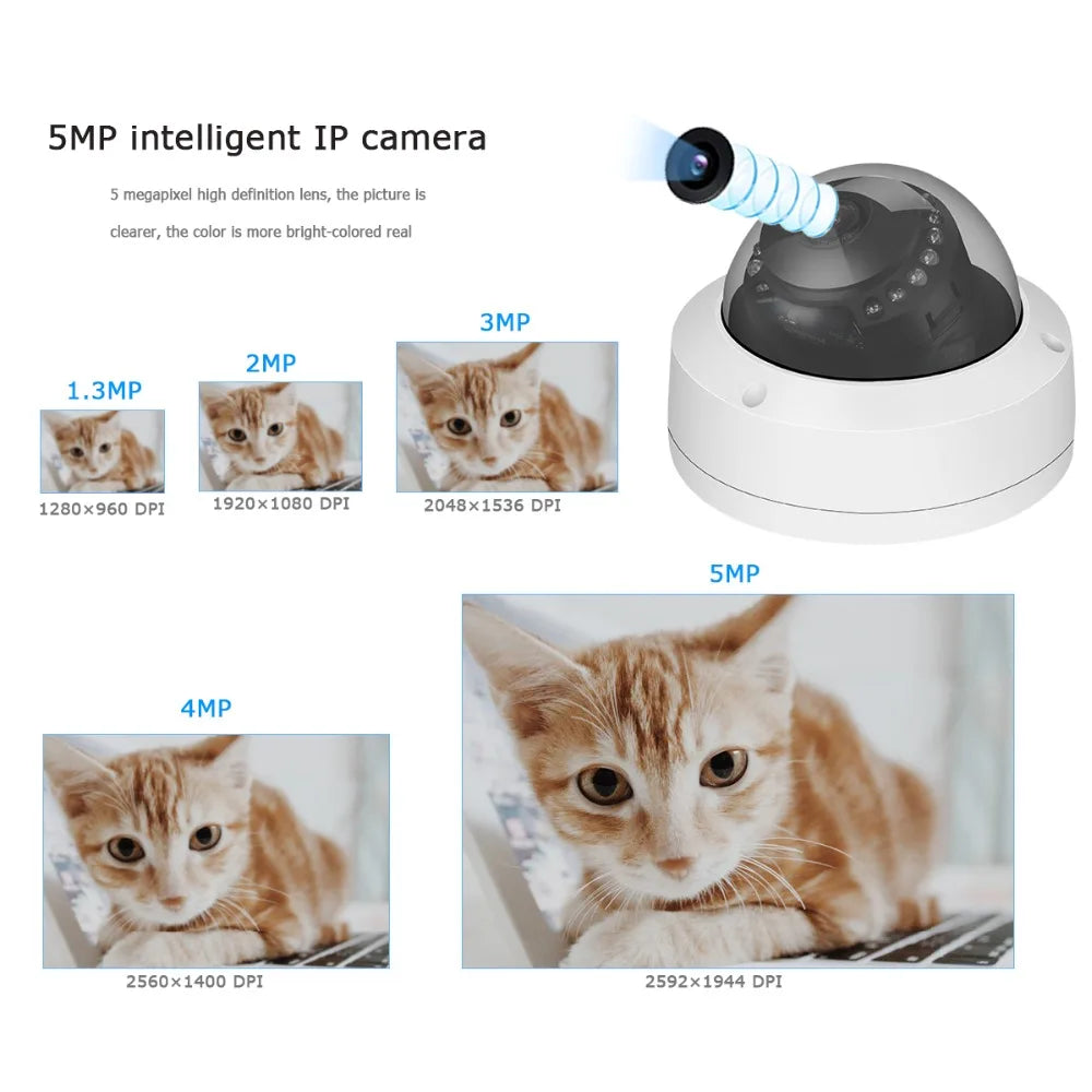 H.265 5MP 3MP 2MP Poe IP Camera Vandal-Proof CCTV Dome IP Camera Video Surveillance Motion Sensor Audio Record Camera IP RTSP